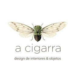 cigarra